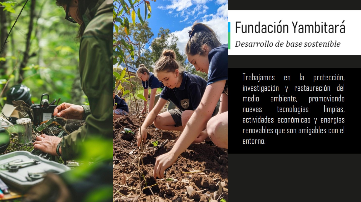 Desarrollo de base sostenible