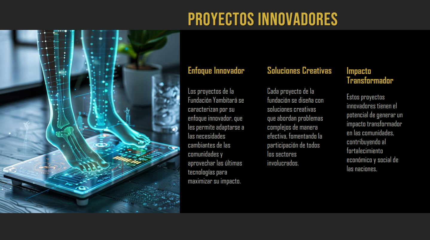 Proyectos Innovadores