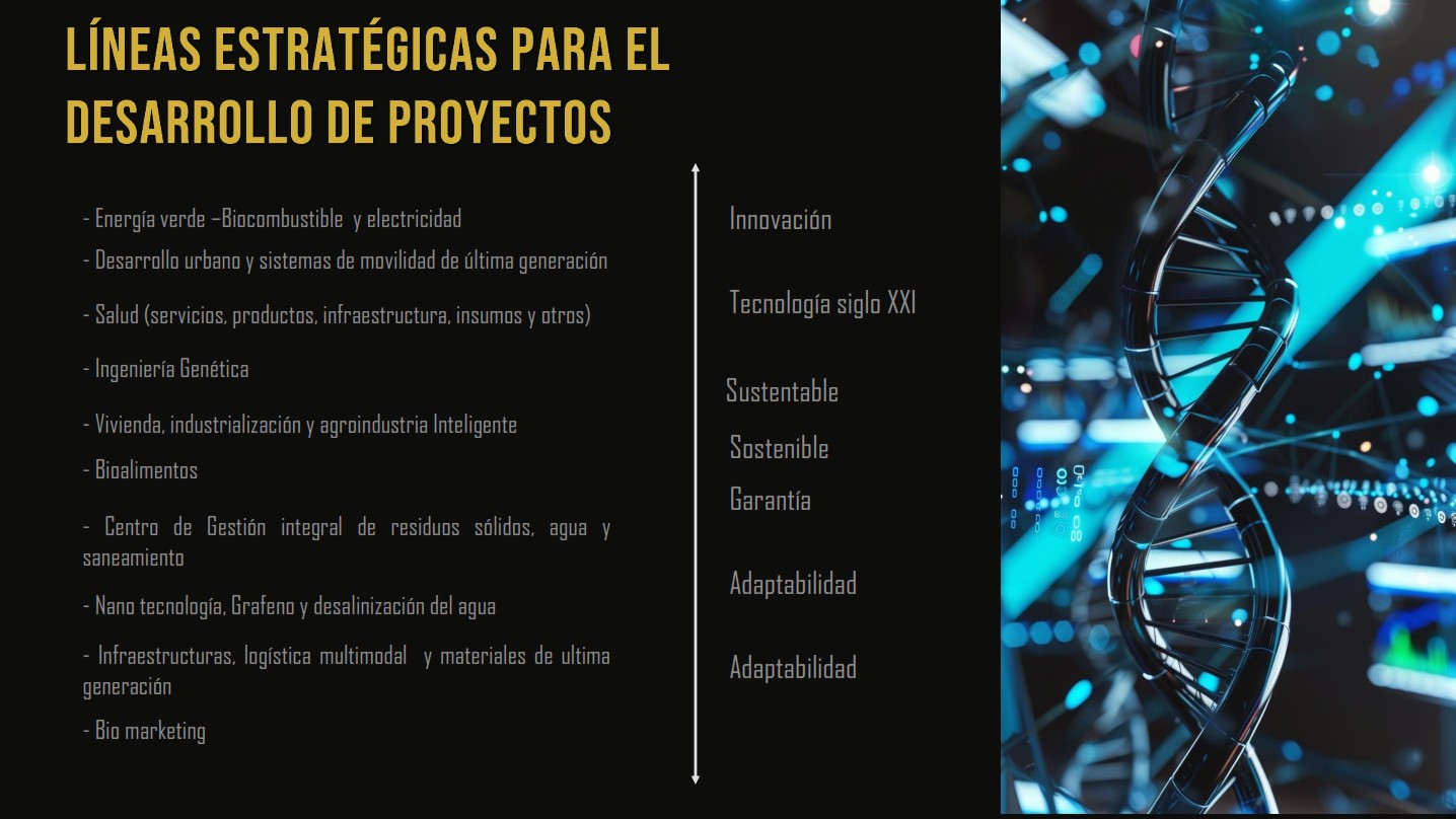 Líneas estratégicas p desarrollo de proyectos