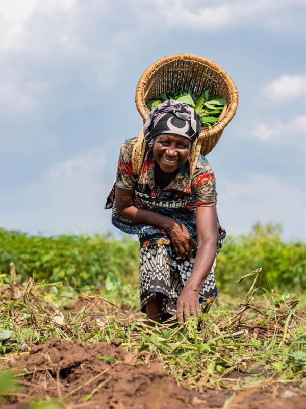 Mujer campesina cosechando en el campo