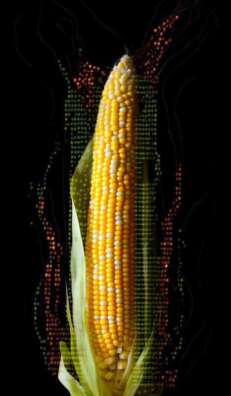 Proyectos sostenibles — agricultura